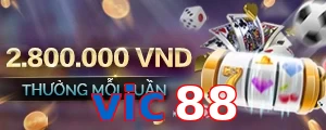 vic88